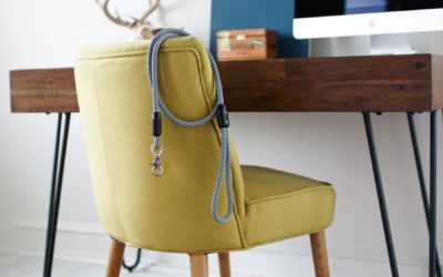 The best leash and collar you can get for your dog